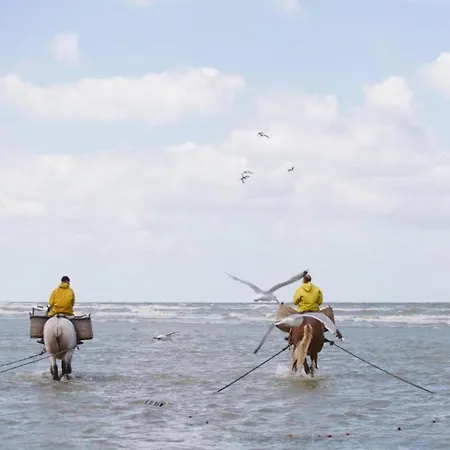 In Koksijde Near Sandy Beaches