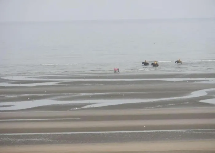 Apartment In Koksijde Near Sandy Beaches