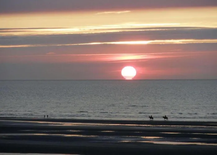 In Koksijde Near Sandy Beaches *