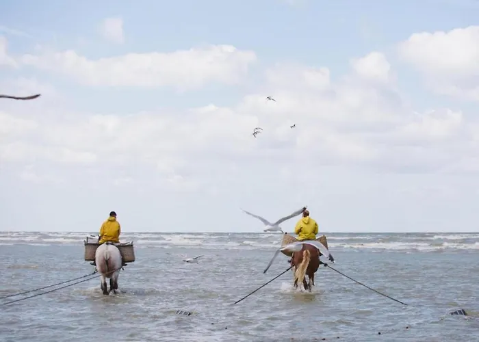 Apartment In Koksijde Near Sandy Beaches *