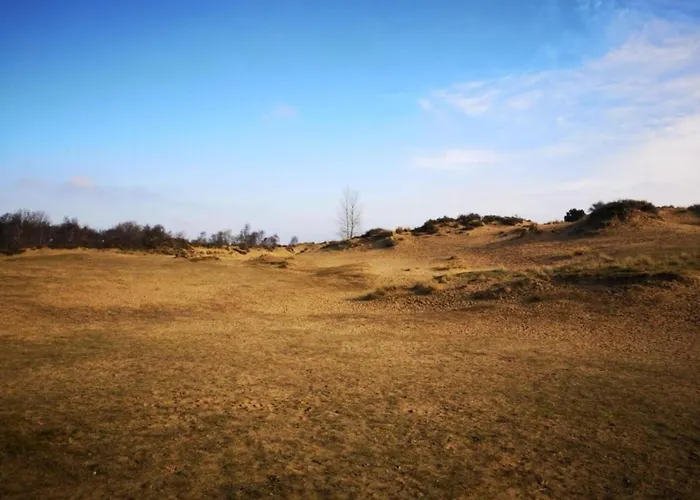 In Koksijde Near Sandy Beaches Apartment *